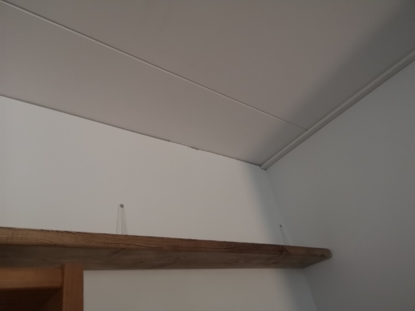 Klippe hæk (ikk,loftlampe op, spartle ujævn væg (lille bid 1x2 meter cirka), sætte skyggeliste op