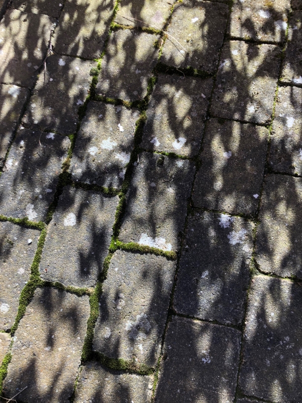 fjernelse af ukrudt og alger på fliser