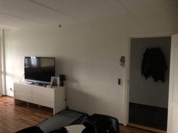 Fjernet gammelt tapet, fuldspartle, filt, malet 2x . Der er i alt 40kvm vægge i stuen