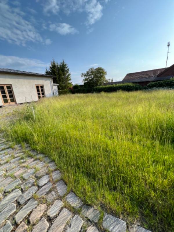Slå græs og klippe hæk i hvidovre