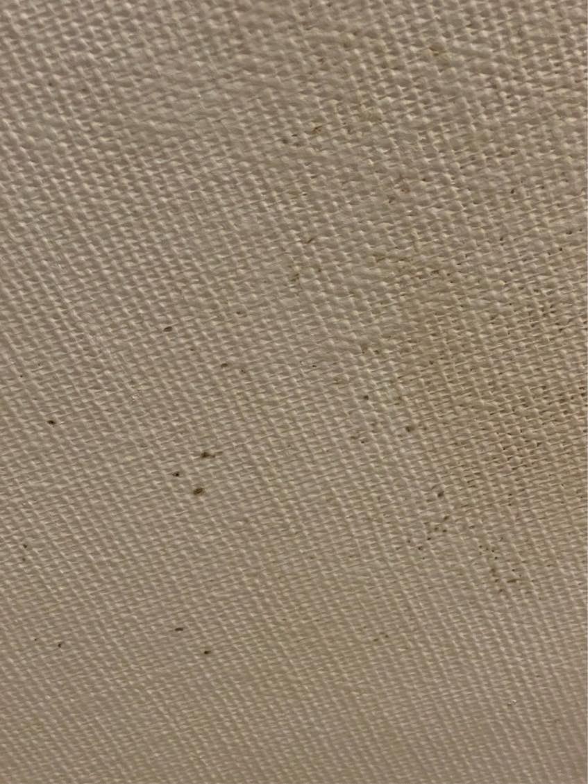 Fjerne skimmel fra 4-5 KV2 badeværelse