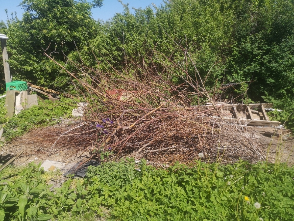 Trailerflytning i Hvidovre