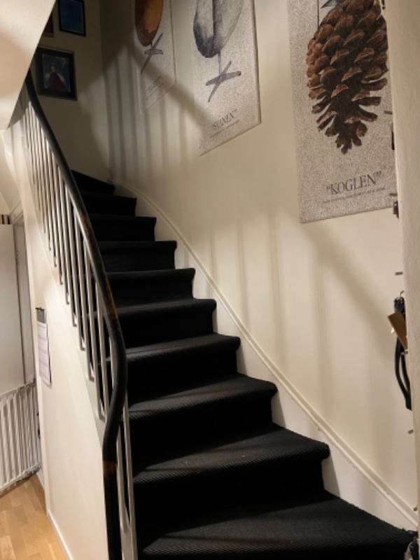 Male gang med trappe og træværk. Spartle mindre stykke med savsmuldtapet