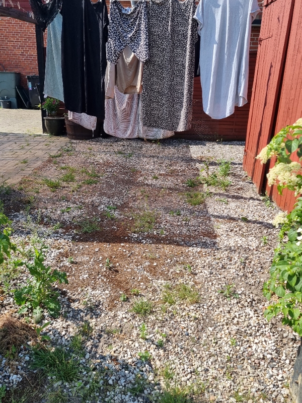 Hjælpe til ukrudt på terrassen og have