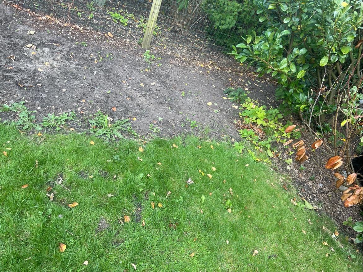 Havearbejde, fjerne ukrudt