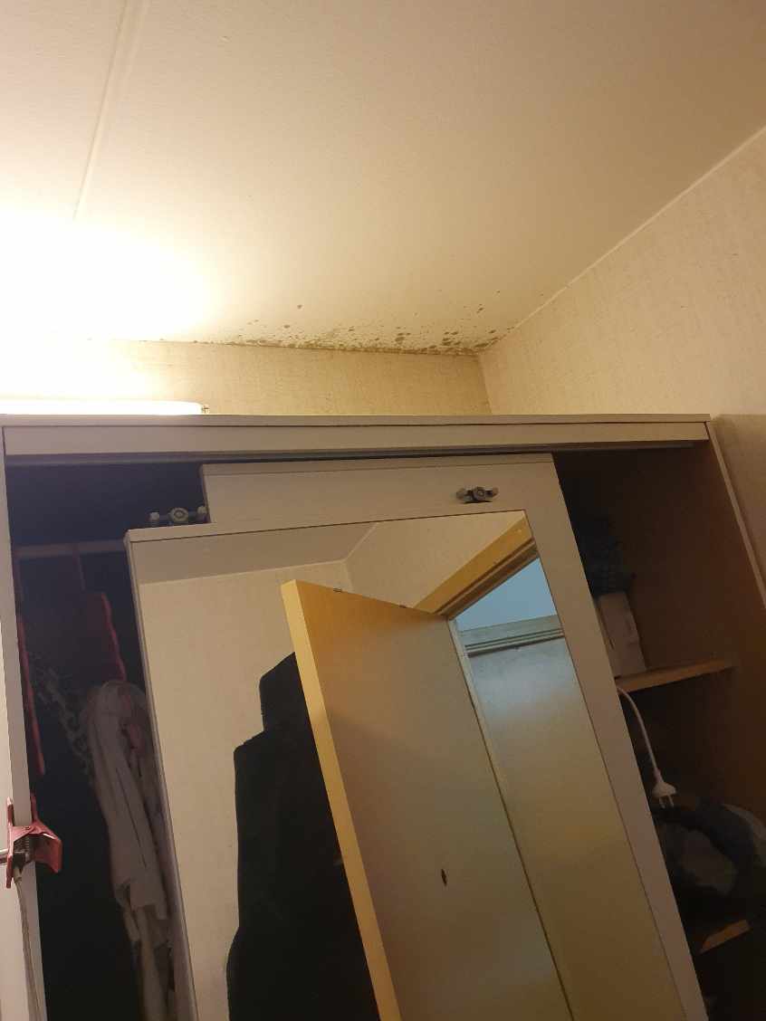 Fejrnelsen af tapet og maling af et værelse