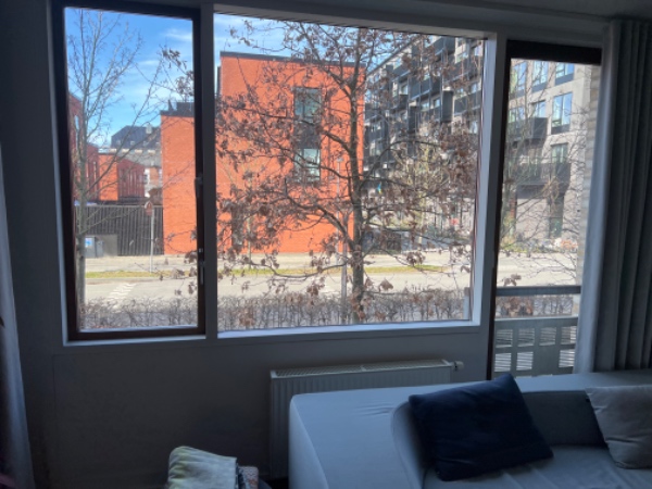 Søger vinduespudser til min lejlighed