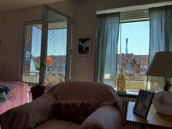 Vinduespudsning indendørs/udendørs