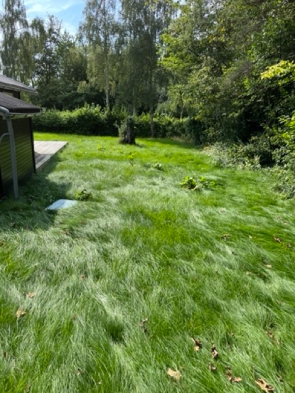 Klippe Græsplænen