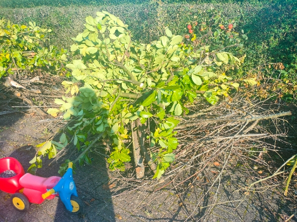 Afhentning af 6 bunker haveaffald.