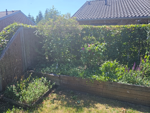 Fjernelse af højbed 8,5x1x0,6m