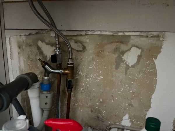 Sanering i bryggers og nedtagning af køkkenelementer