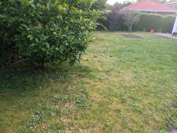 Fjernelse af eksisterende plæne