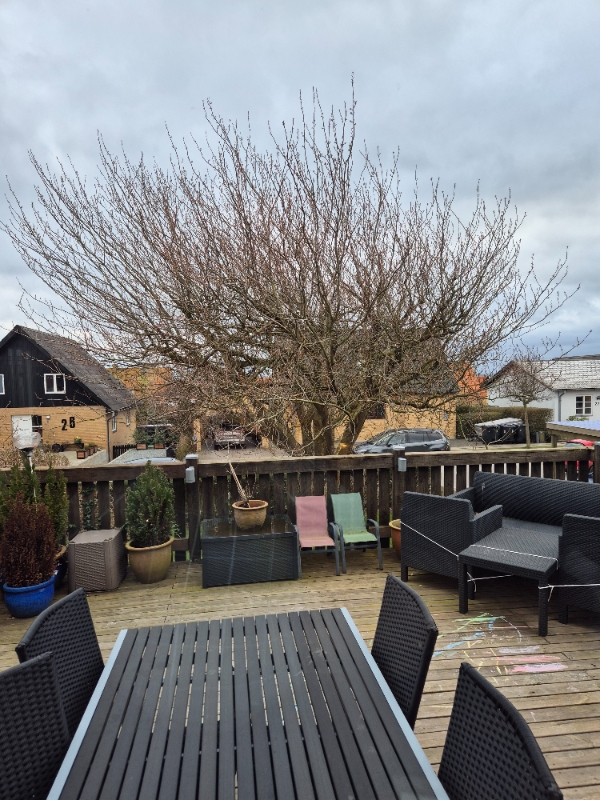 Beskæring af kirsebærtræ, meget stor