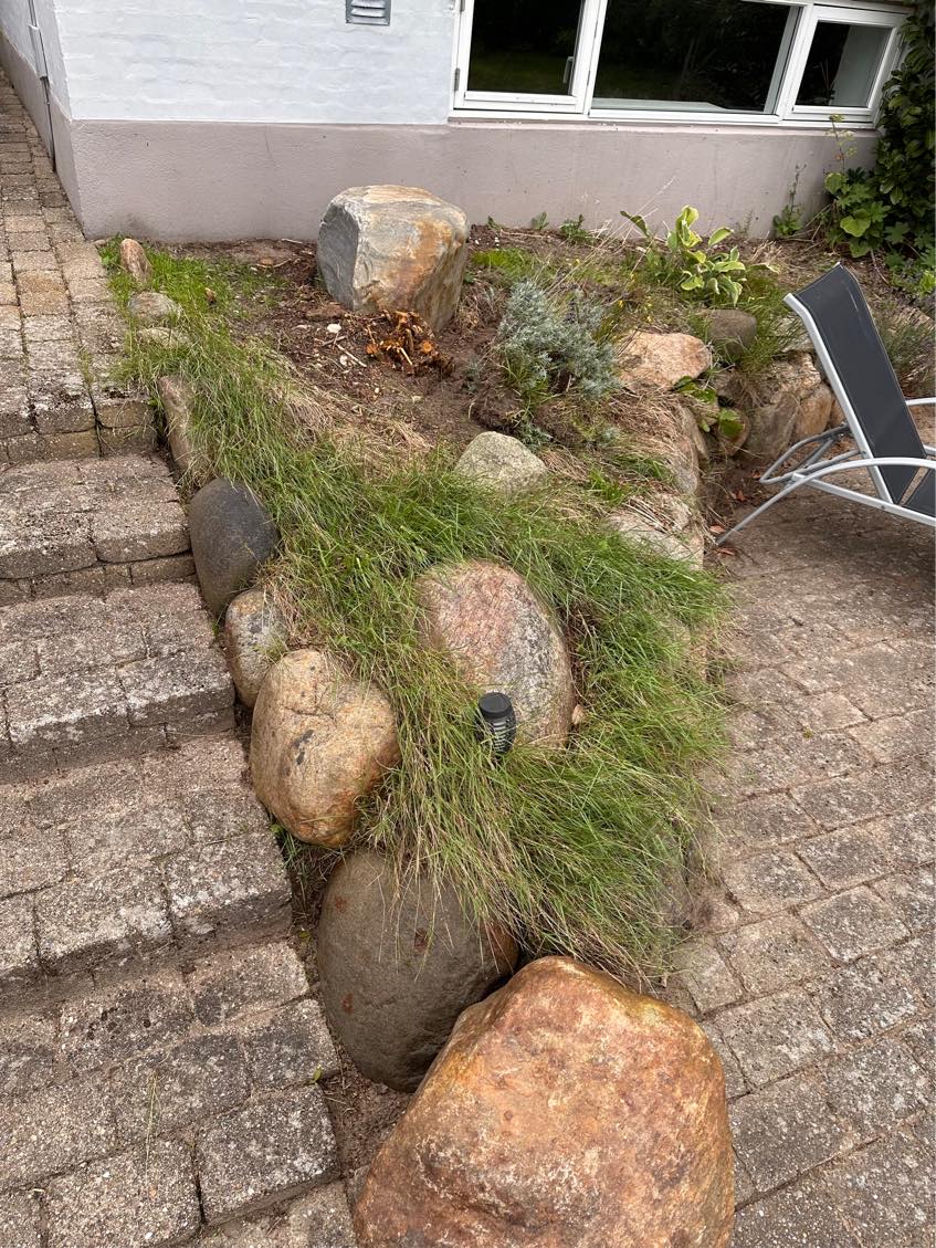 Rydning af ukrudt og sten