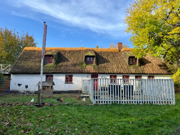 Hvitning af stråtækt gård