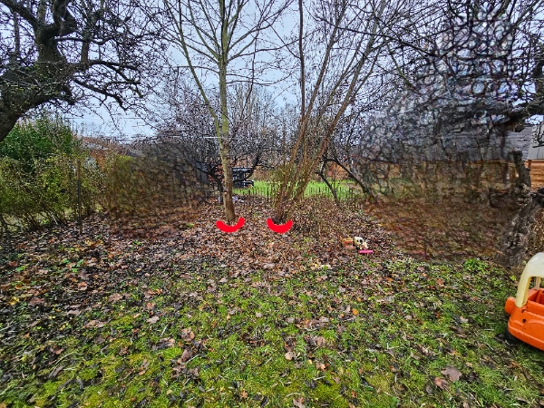 Fældning og bortskaffelse af 2 træer