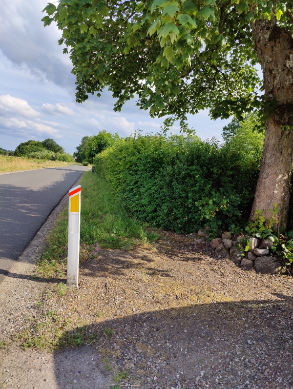 Hæk klipper 2 sidet og top