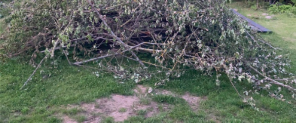 Haveaffald til genbrugsplads