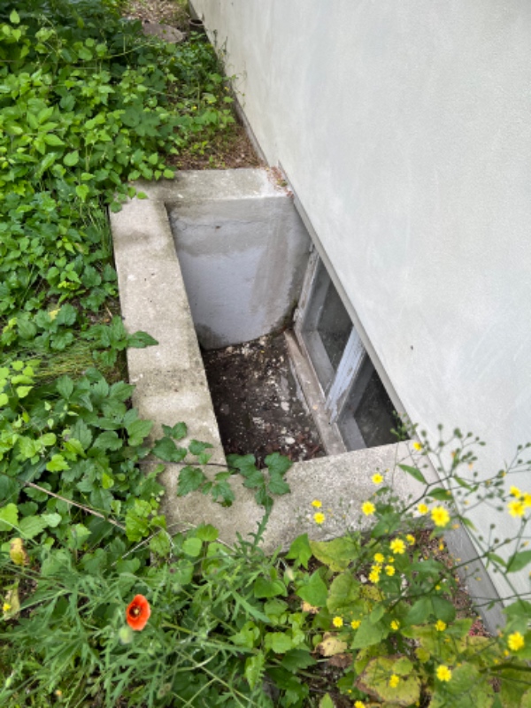 Haveoprydning og affaldskørsel