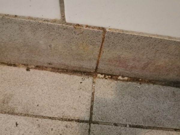 Rengøring / oprydning