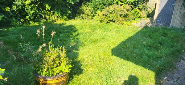 slå græs. lidt trimning. bortskaffelse.