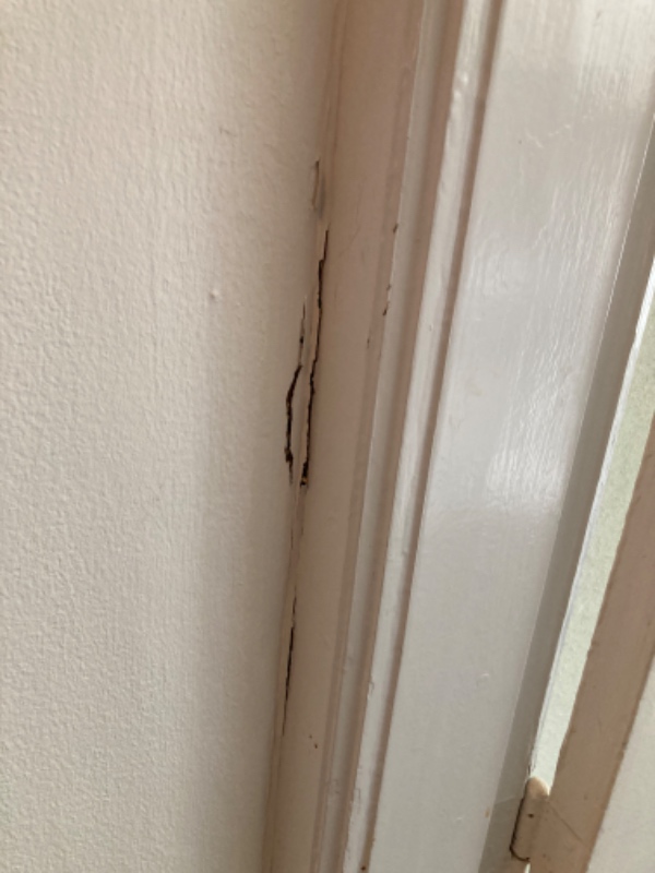 Fjernes og opsættes nyt tapet