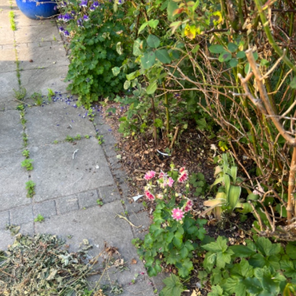 Højtryks spulet terasse