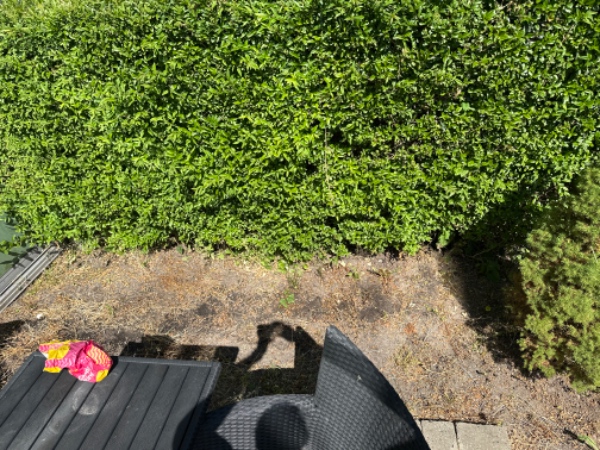 Rullegræs og renset fliser