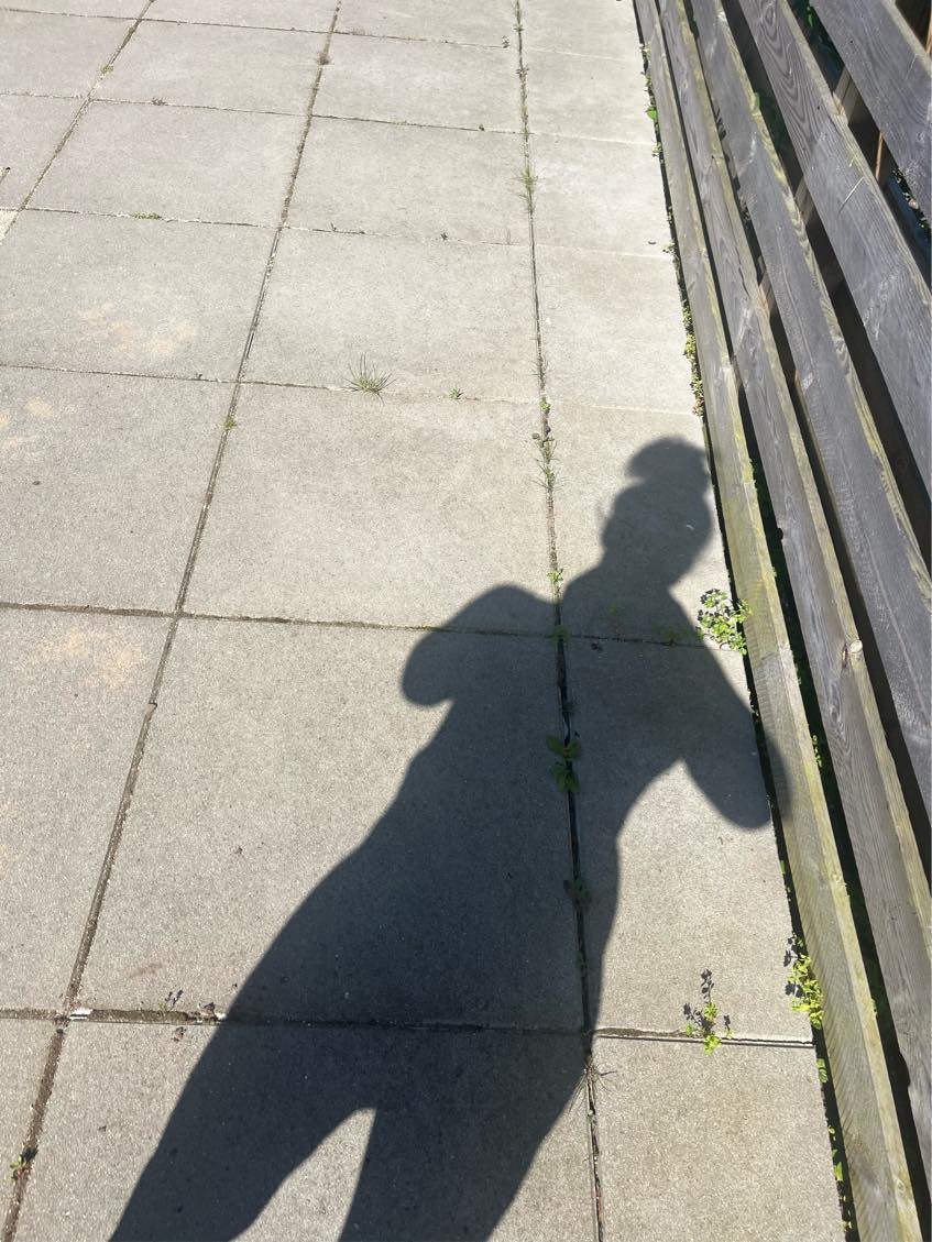 Lugning af ukrudt mellem fliser