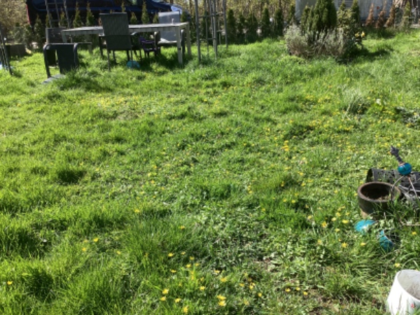 Hej vi har ca 400 m2 der er meget ujævn ( mange knoldet og buler) dels pga muldvarp skal udjævnes