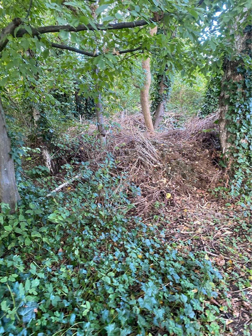 Afskaffelse af haveaffald