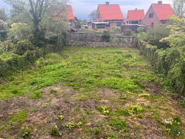 Etablering af græsplæne