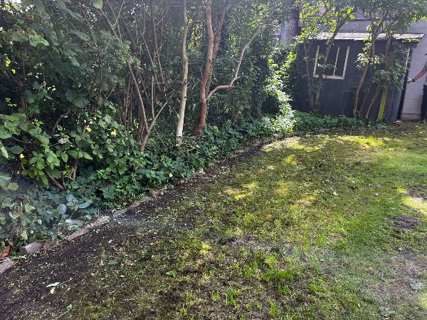 Beskæring af mindre træer og hæk