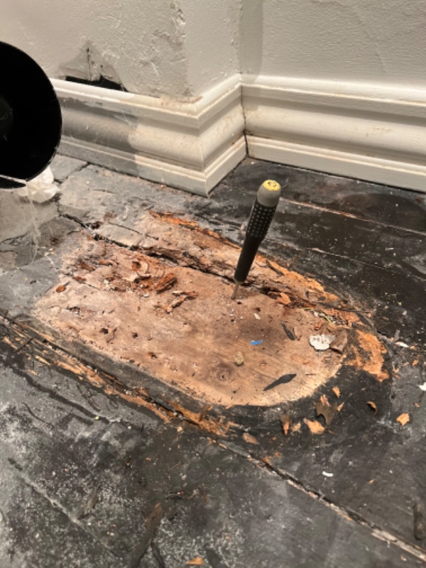 Trægulv som er rådnet på badeværelse (småt)