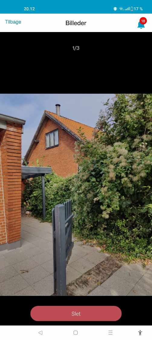 Fjernelse af blandet hæk, samt de træer der er i hækken, alt skal væk inklusiv rødder.