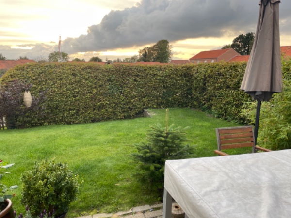 Indredning af Lille have