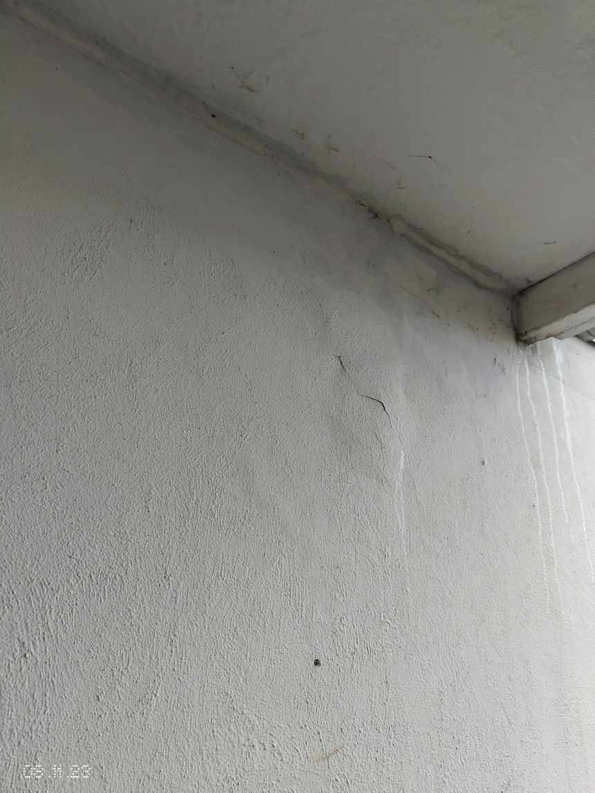 Repair/Touch up/Renovation Altan