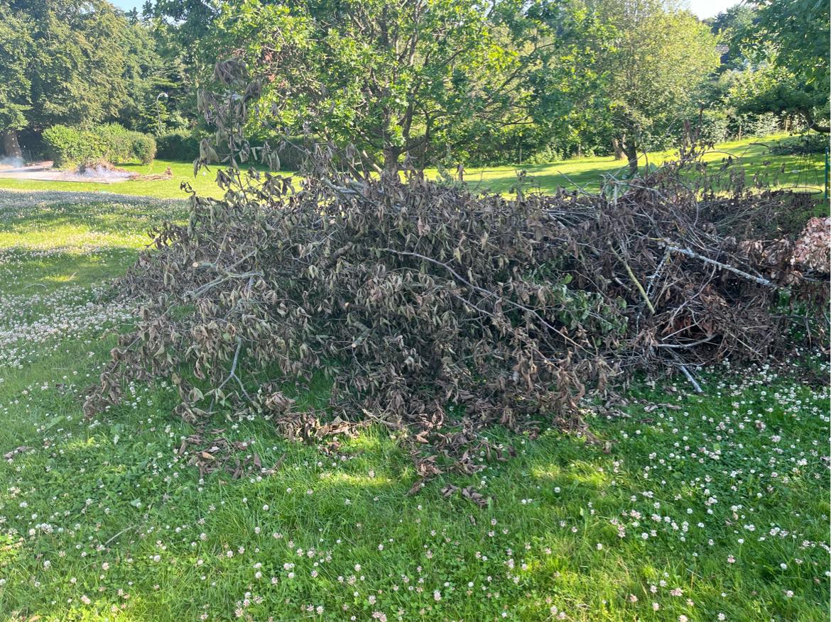 Bortkørsel af haveaffald