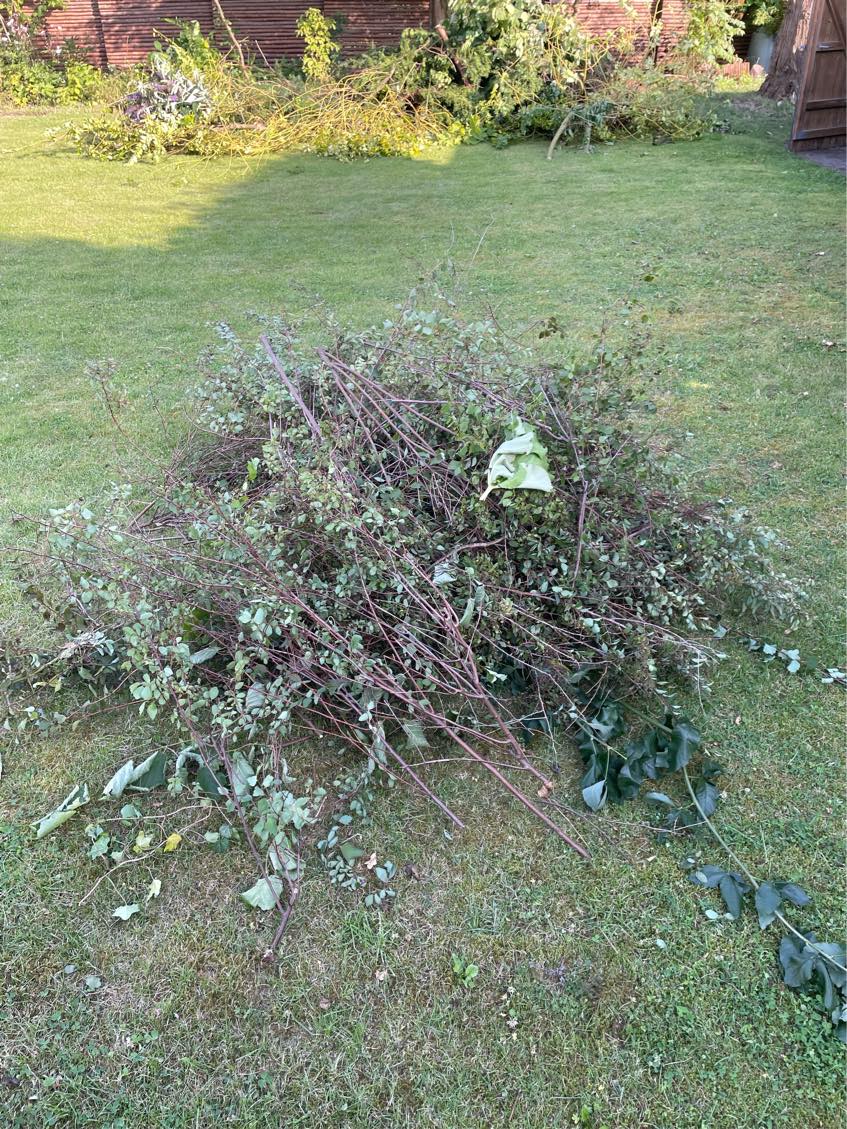 Haveaffald til genbrugspladsen