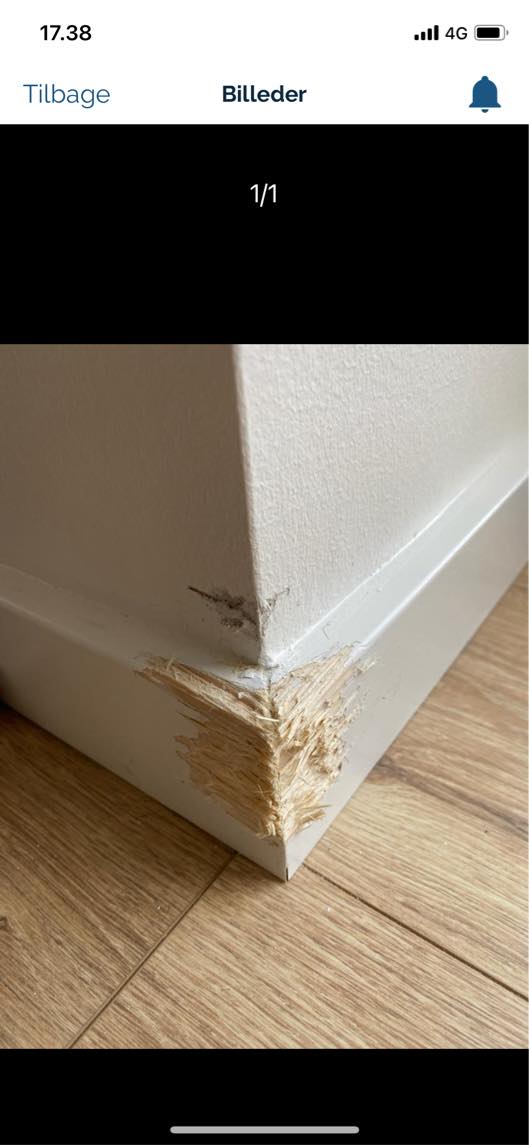 Spartle og male panel