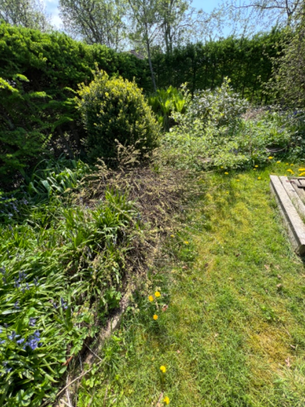 Havearbejde i kolonihave