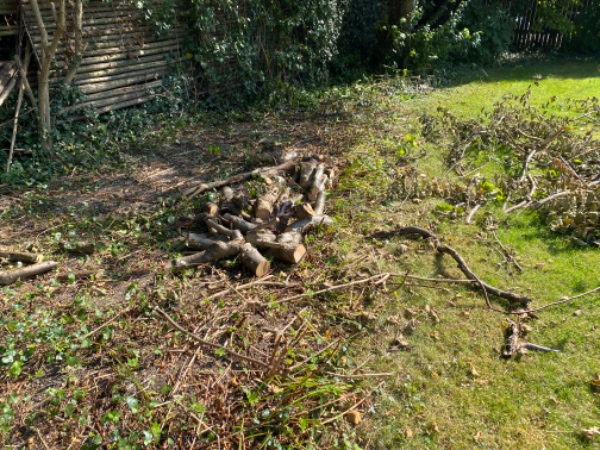 Udgravning af buske og træfalding