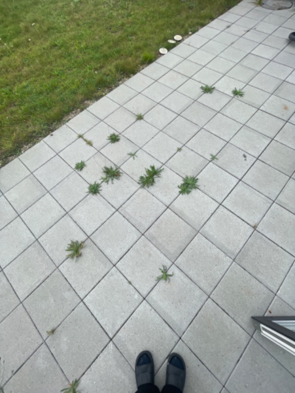 Lugning af ukrudt , fliser, og græsslåning