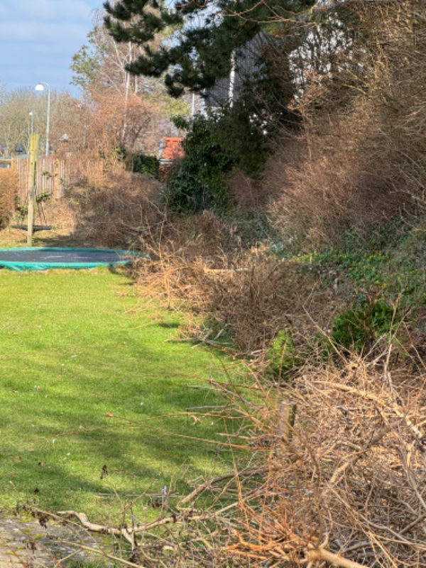 Fjernet haveaffald (inkl. hæk der er skåret ned)