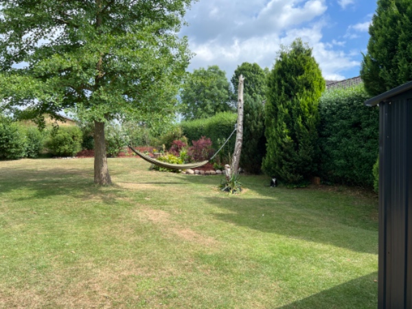 Klipning af hæk og oprydning