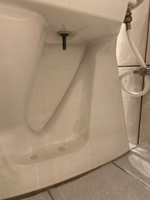 VVS - toilet udskiftes