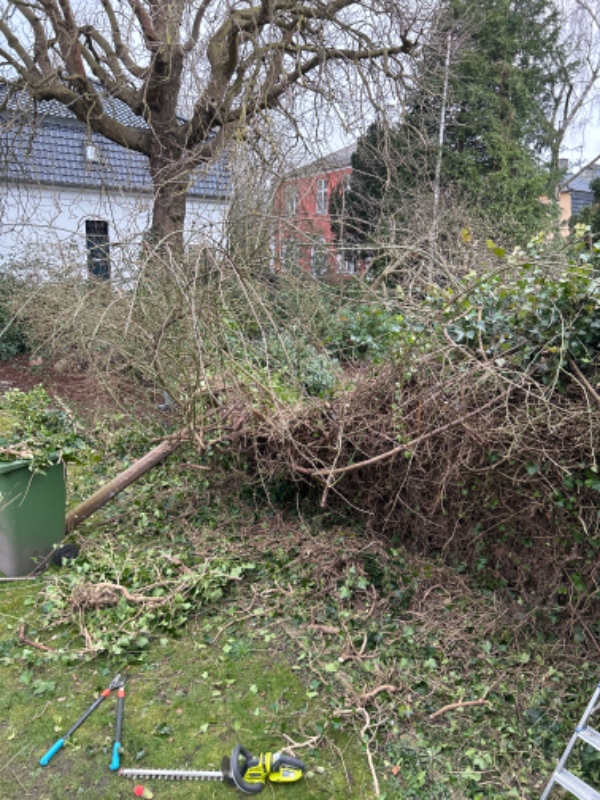 Fjernelse af raftehegn