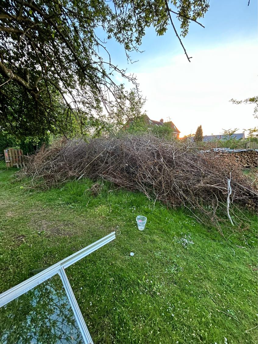 Fjernet 2 bunker grene