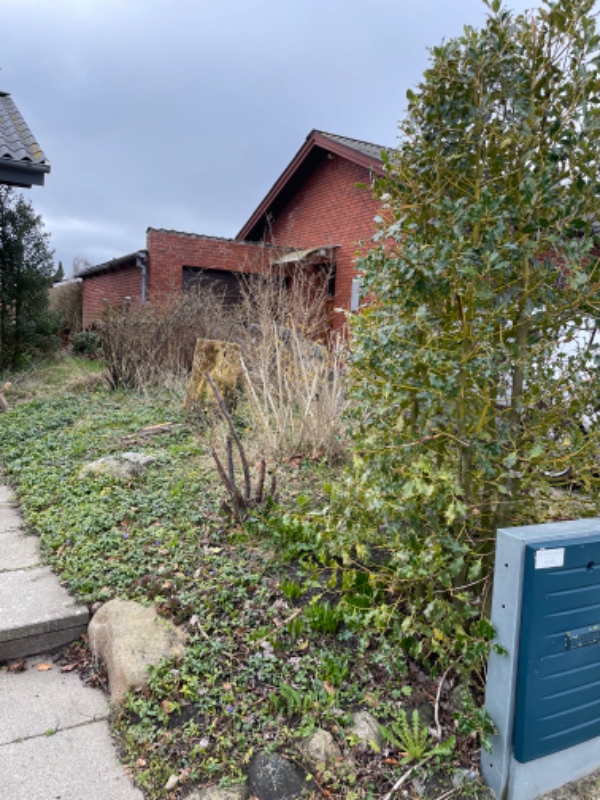 Få gjort haven forårsklar, luget og efu der skal væk, vokset lidt over hovedet på mig